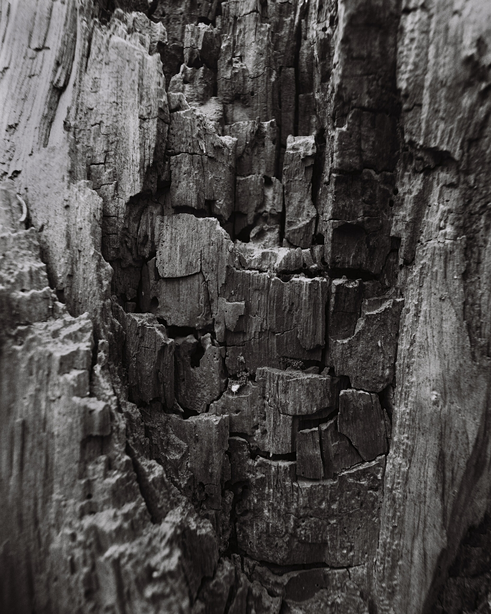 Ilford Delta 400 тип-120 - Зображення 3