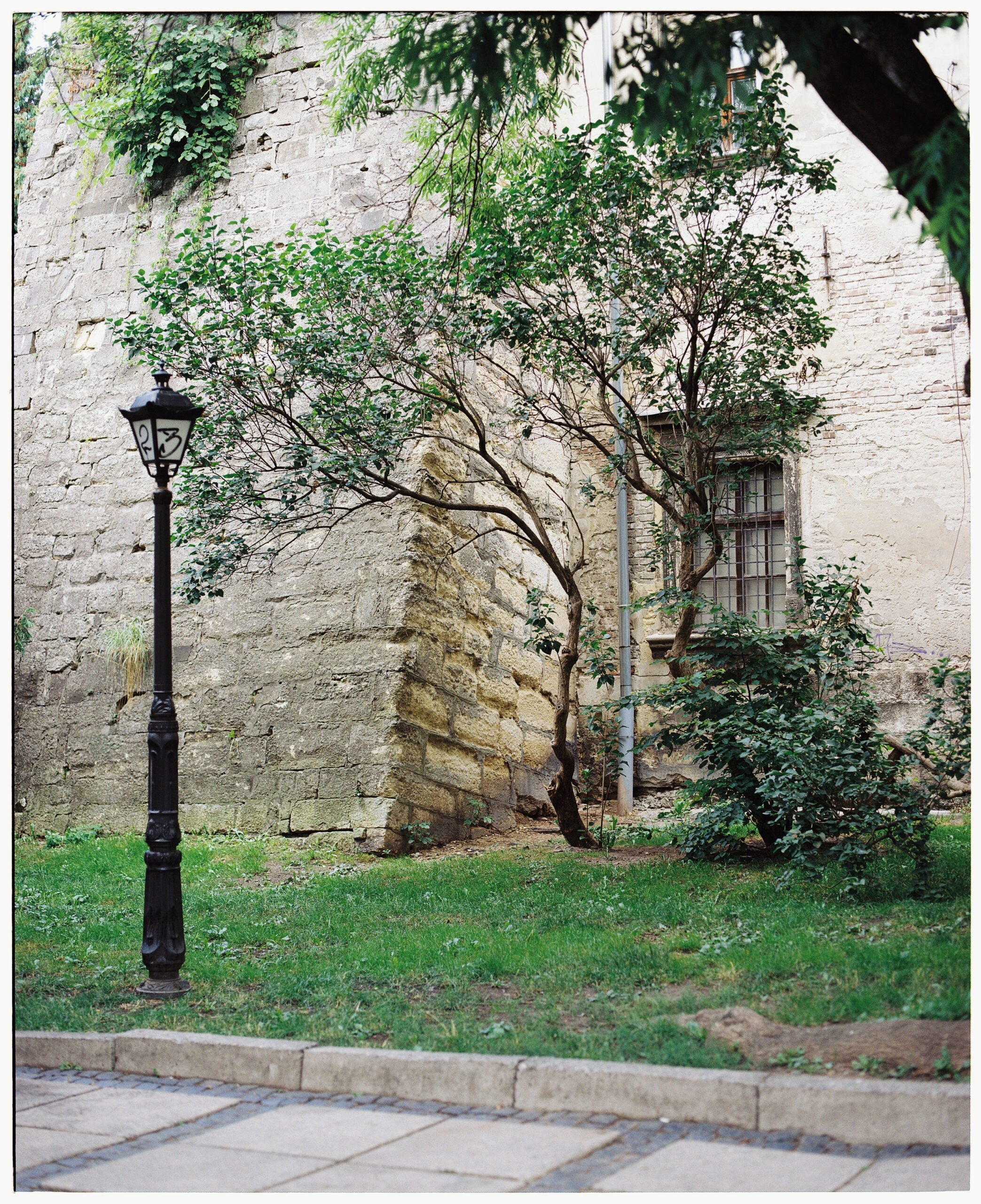 Kodak Gold 200 тип-120 - Зображення 5