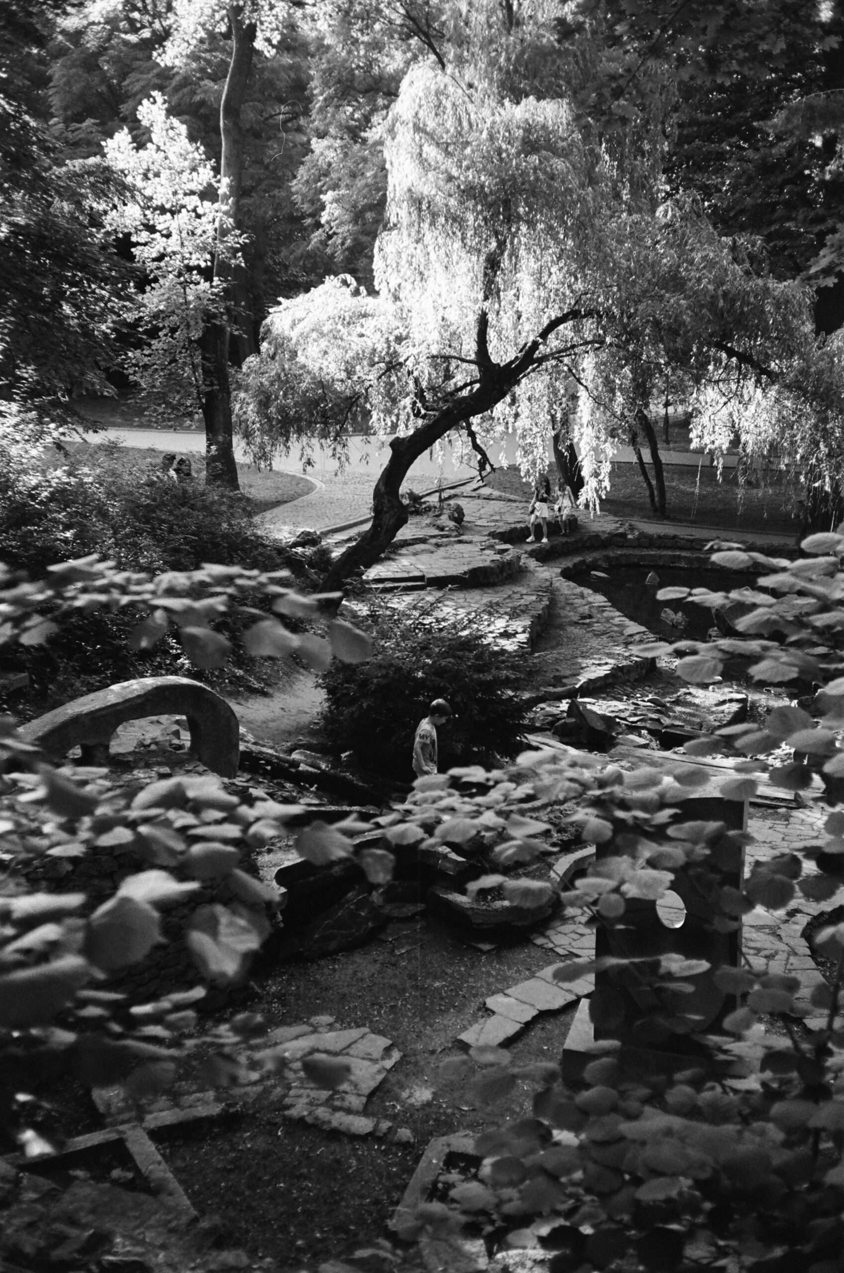 Kodak Tri-X 400 тип-135 - Зображення 6